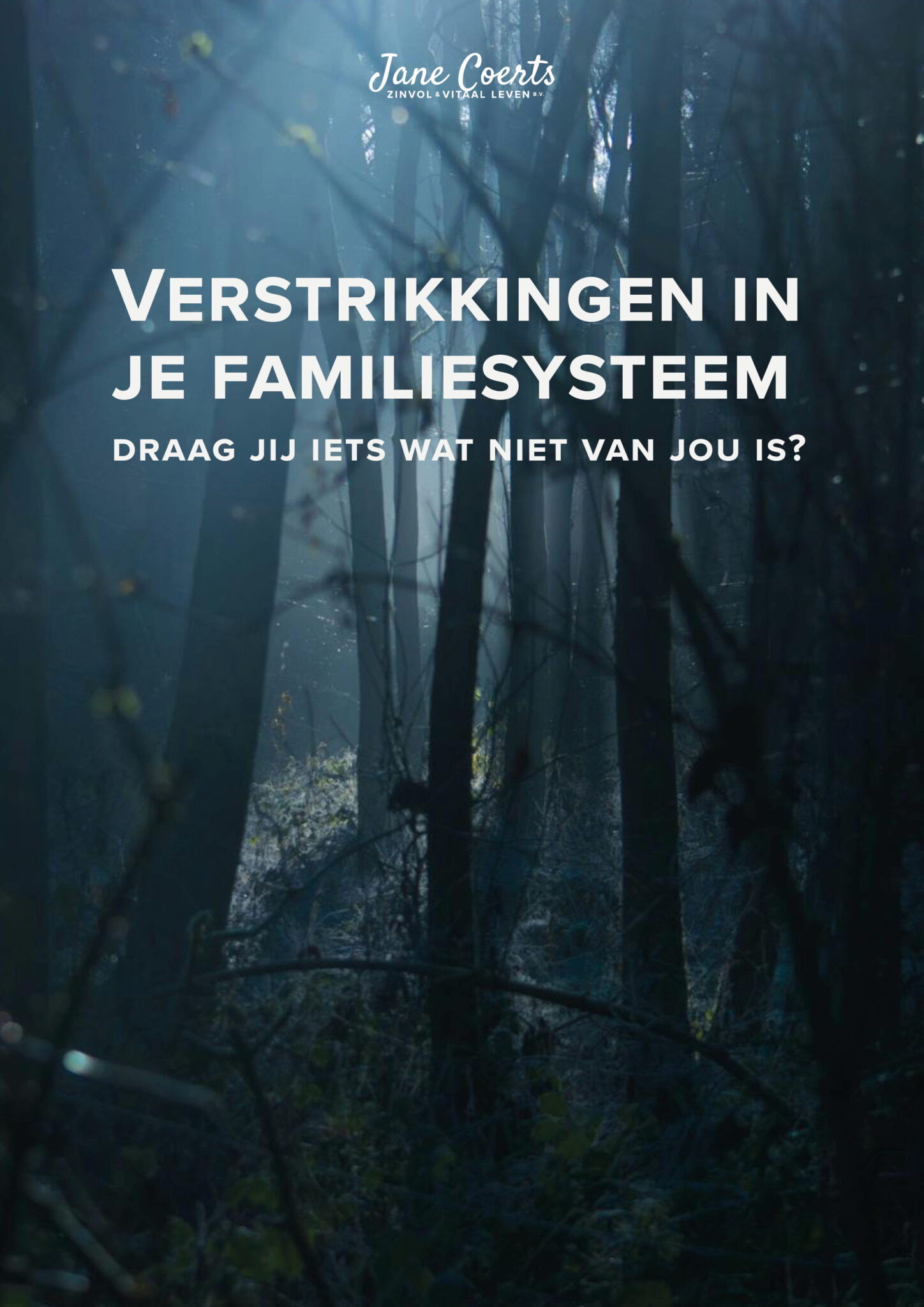 Poster Systemische Workshop